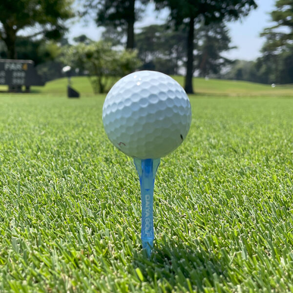 Thumbnail of DAIYA TE-4001